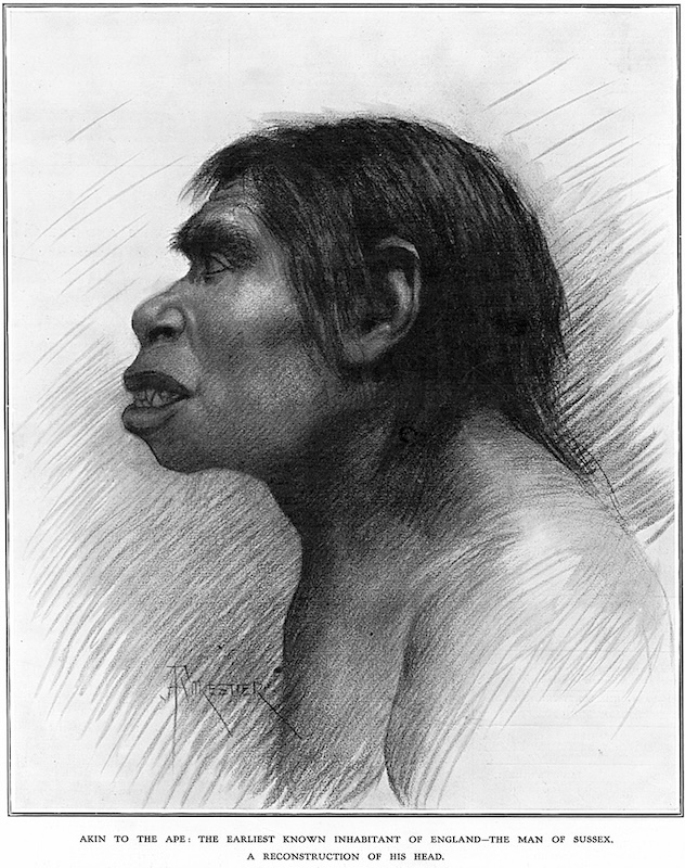 Piltdown Man sketch as it appeared in London News, soon after Charles Dawson's finding.