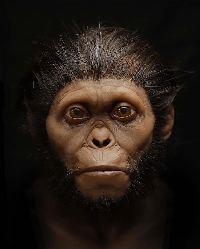 Pigmented silicon cast of facial reconstruction of Taung child.